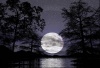 Luna3