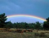 Arco iris2